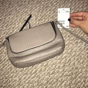 Taupe/Gray Crossbody Bag